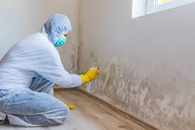 Best Mold Odor Removal Services in Crosspointe, VA