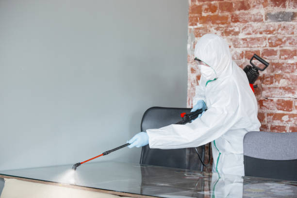 Best Forensic Mold Investigation in Crosspointe, VA