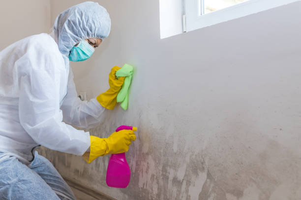 Best Industrial Mold Remediation in Crosspointe, VA